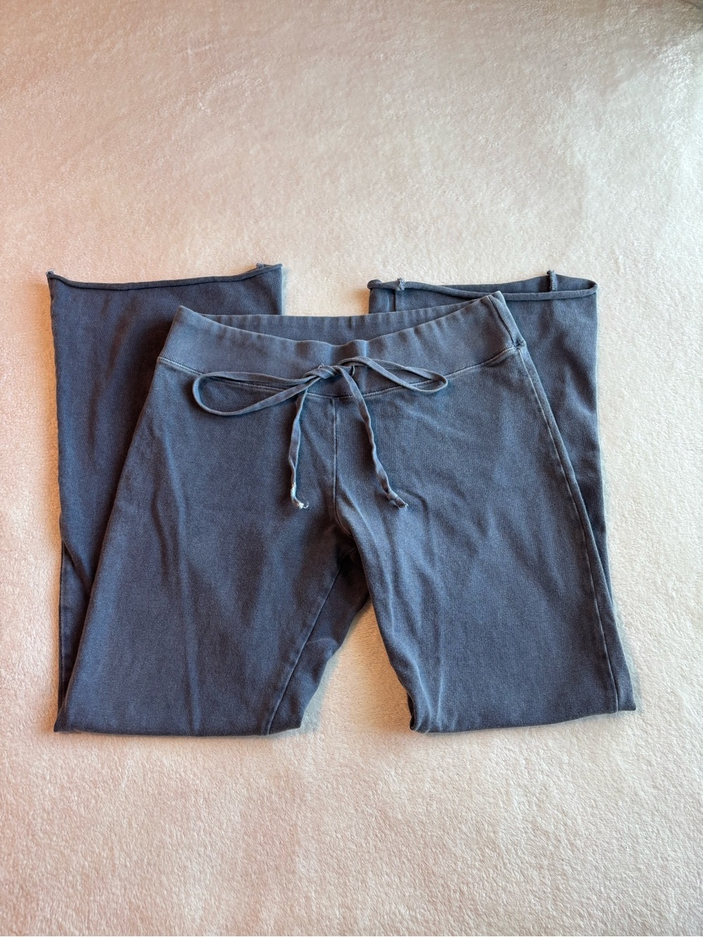 Brandy Melville Wide Leg Sweatpants in dusty blue